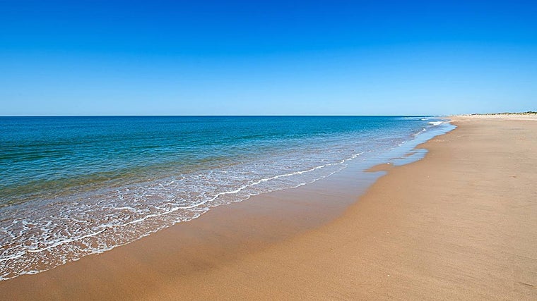 El hotel se encuentra en un enclave de gran riqueza medioambiental con una playa de 14 km de arena virgen