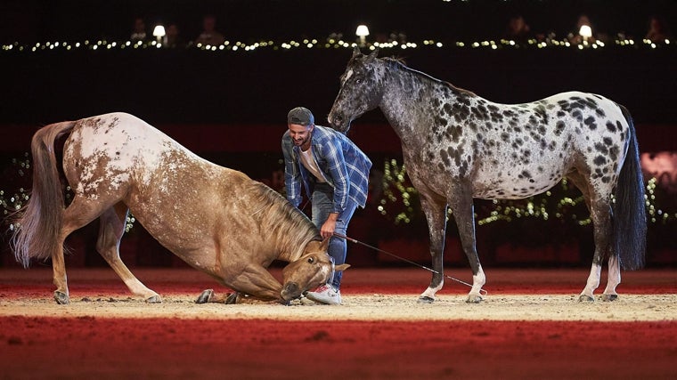 Santi Serra presenta su espectáculo de doma libre en la Madrid Horse Week