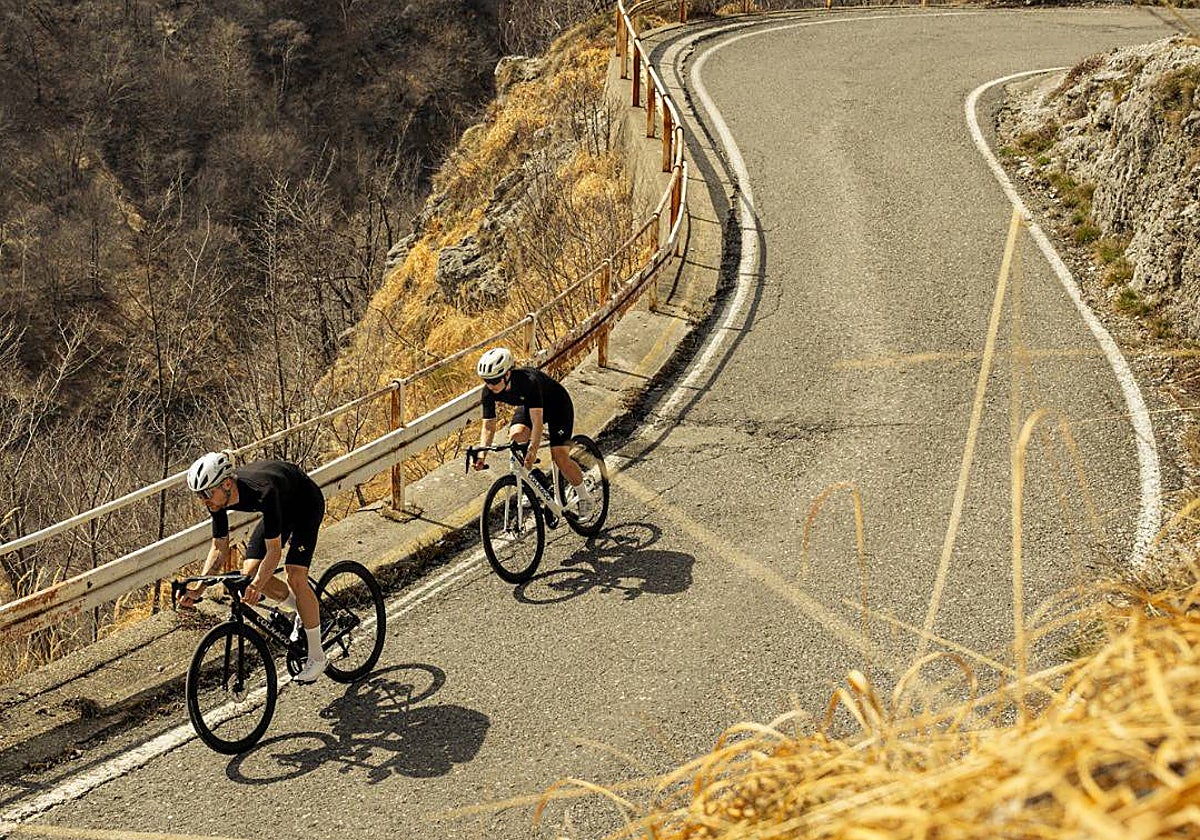 Bicicletas de Colnago