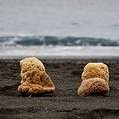 La esponja de Kálimnos: de las profundidades del Egeo a los tocadores de lujo