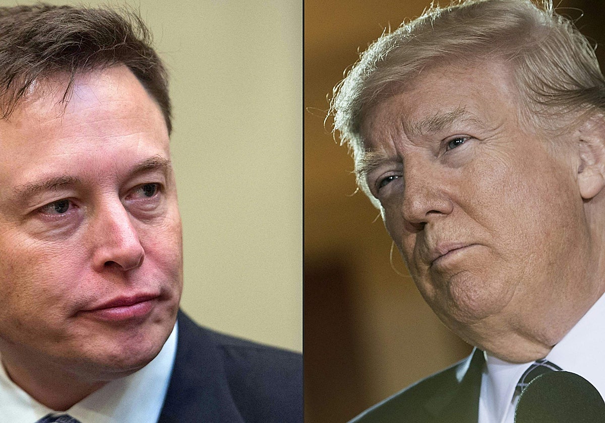 Elon Musk, propietario de Twitter, y Donald Trump, expresidente de Estados Unidos