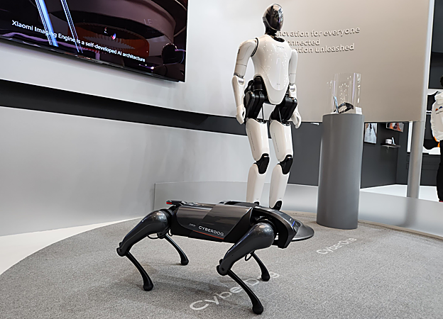 El Cyberone junto al Cyberdog