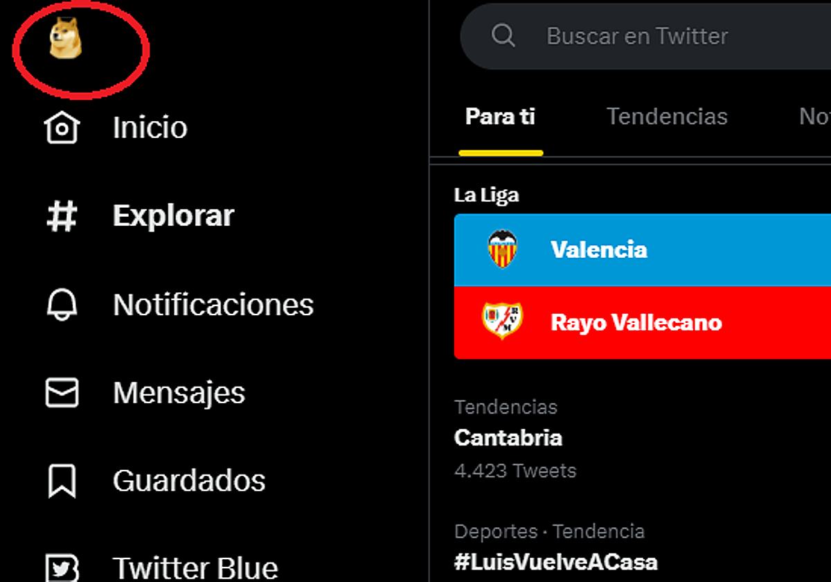El misterioso perro que aperece en el encabezado de Twitter