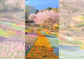 El bellísimo jardín japonés que se ha hecho viral en las redes esta primavera