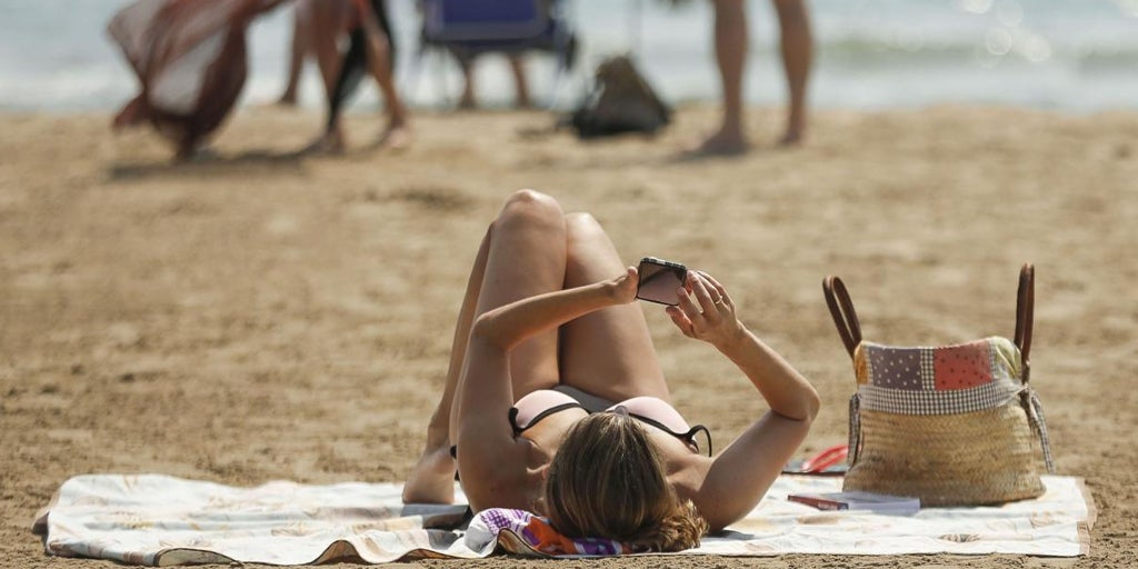 todo lo que debes saber para protegerlo en verano