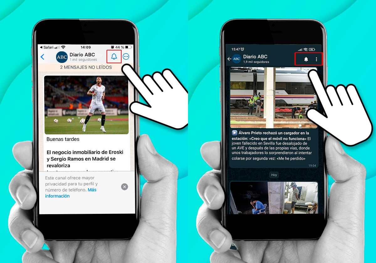¿Cómo activar las notificaciones en el canal para te avisemos de cada publicación?