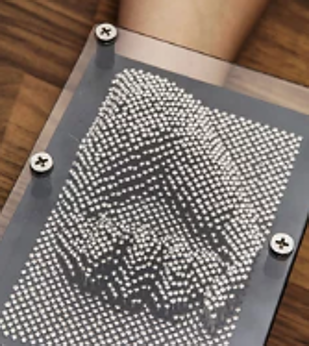 La cámara que permite &#039;ver&#039; a los ciegos es ya una realidad