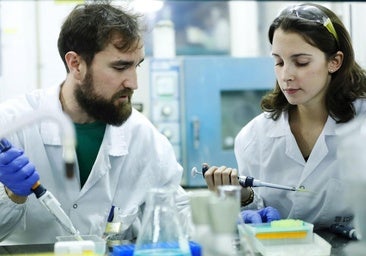 Google presenta una IA 'co-científica' diseñada para acelerar las investigaciones biomédicas y crear nuevas hipótesis