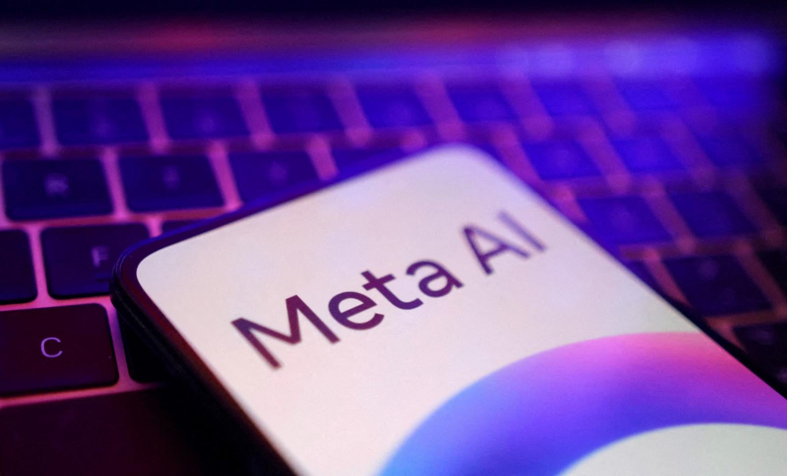 Un juez de California ha desestimado la acusación contra Meta por presunta violación de las leyes de derecho de autor