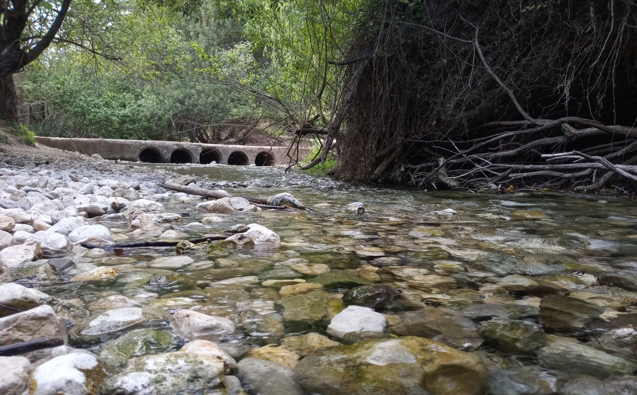 El arroyo Bocaleones es uno de los tesoros más importantes del Parque Natural de la Sierra de Grazalema