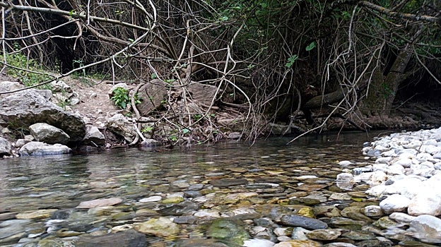 El agua es uno de los elementos más importantes que podemos encontrar en toda esta comarca