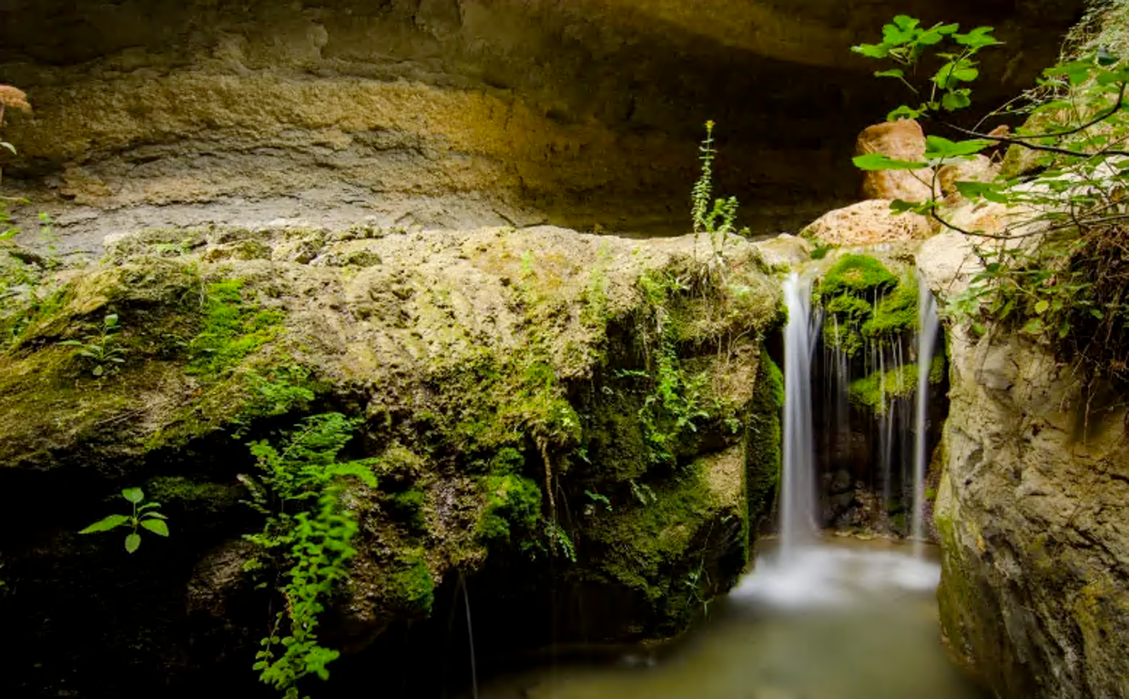 Ruta de Barranco de la Luna en Saleres, Granada