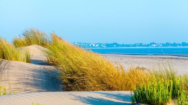 Dunas de Doñana