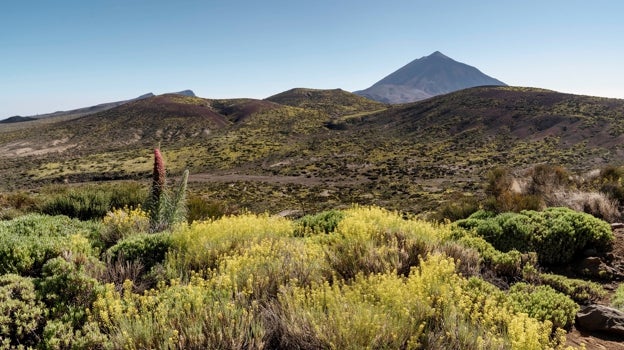 Parque Nacional del Teide