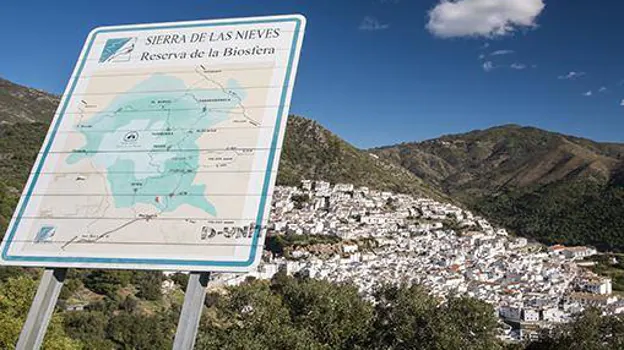 Cuatro rutas senderistas imprescindibles por la Sierra de las Nieves de Málaga