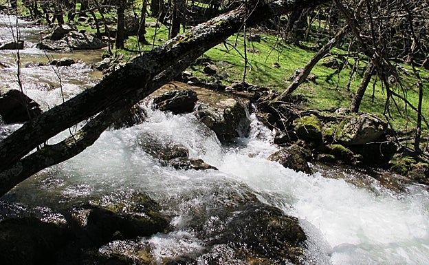 Arroyo Aguilón hacia la cascada del Purgatorio, en Rascafría