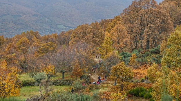 Marcha por el Valle del Ambroz