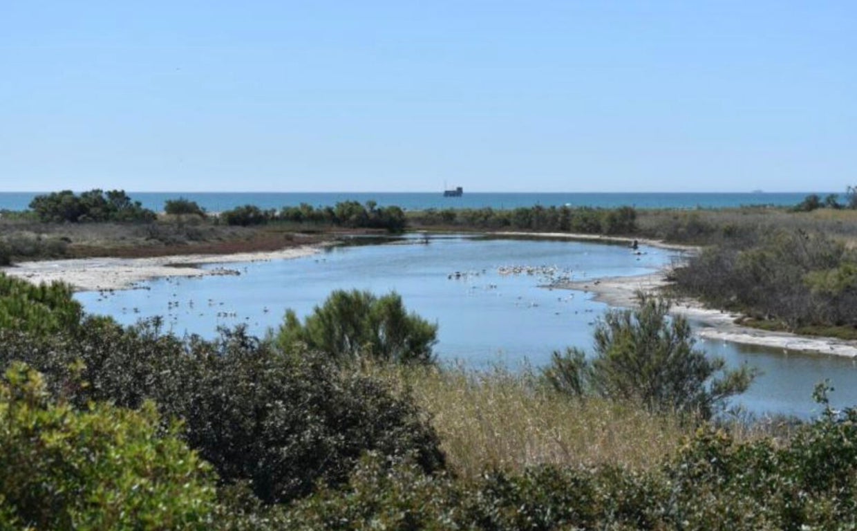 Una de las lagunas de la desembocadura