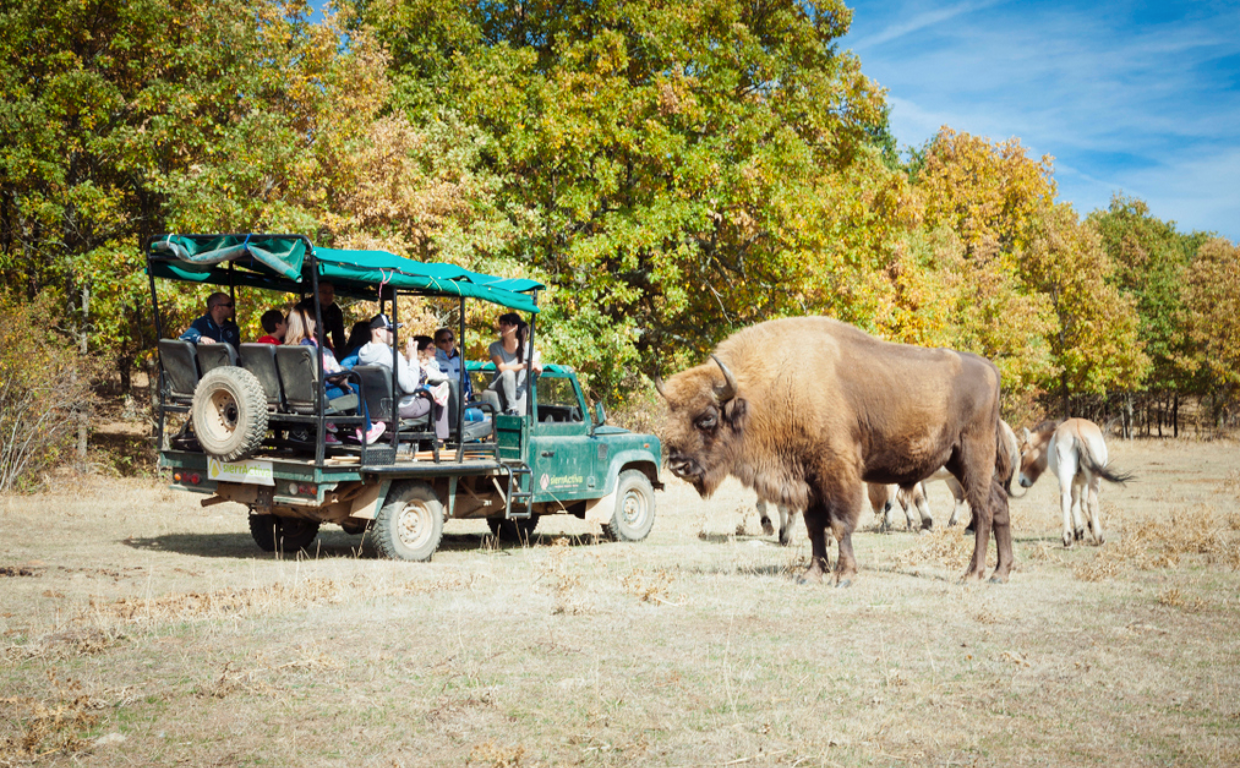 Imagen de la visita a Paleolítico Vivo en safari