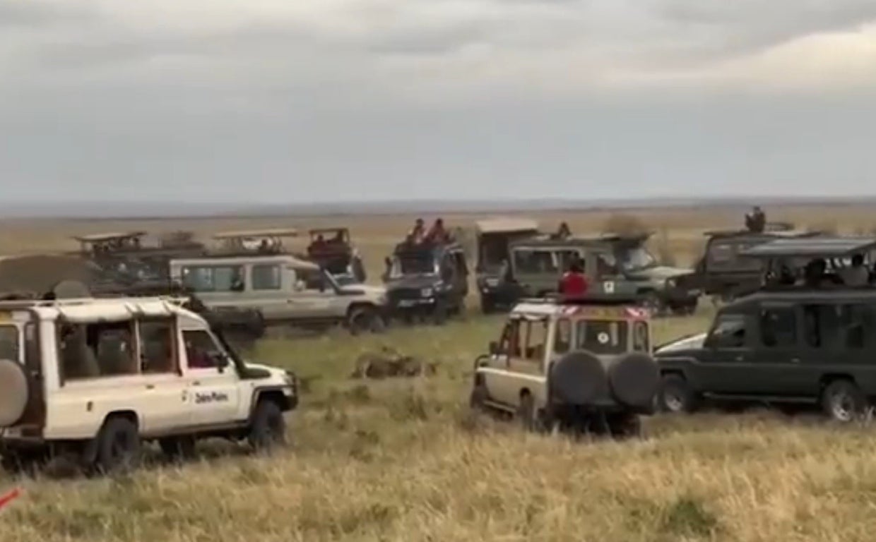Una docena de coches rodea al guepardo y su presa, en un vídeo aparentemente grabado en Masai Mara