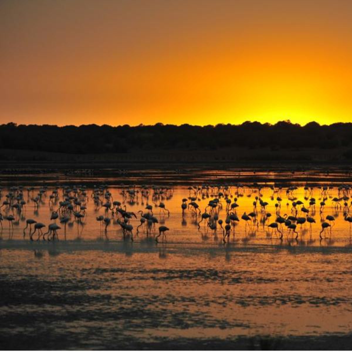 Los cinco paisajes de otoño más bonitos de Andalucía que no te puedes perder