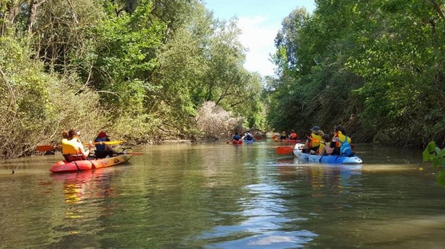 El Corredor Verde del Guadiamar es un lugar perfecto para la práctica de todo tipo de deportes