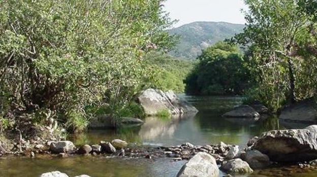 Imagen tomada en el Parque Natural de Los Alcornocales