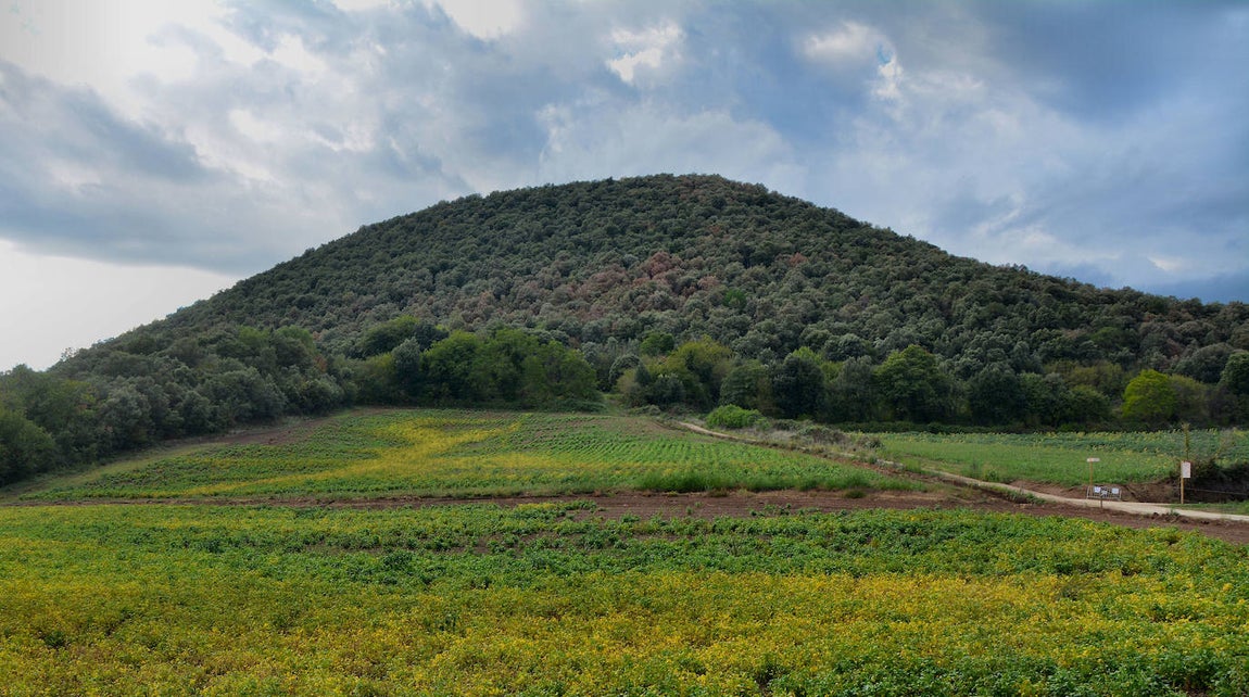 El Parque Natural de la Zona Volcánica de La Garrocha (Garrotxa en catalán) es uno de los mejores ejemplos de paisaje volcánico y el más grande de la Península Ibérica, con unos 40 volcanes dormidos y varias coladas de lava en un territorio de unas 15.000 hectáreas. A nivel del suelo, paisajes verdes de suaves ondulaciones, bosques de robles, hayas o pinos que no dejan intuir su origen eruptivo. Hay que elevarse y sobrevolar la zona para descubrir que esas pequeñas lomas redondeadas y cubiertas de vegetación son el realidad viejos volcanes apagados hace unos 13.000 años. En la foto, el volcán Croscat que, a nivel del suelo, parece una simple loma.