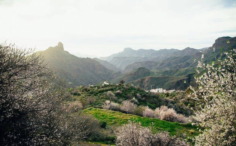 Imagen principal - lLa Fiesta del Almendro en Flor es un acontecimiento único, considerada como Fiesta de Interés Turístico Nacional. El pueblo está situado en el Paisaje cultural del Risco Caído y montañas sagradas de Gran Canaria, inscrito en 2019 en la lista del Patrimonio Mundial de la Unesco.