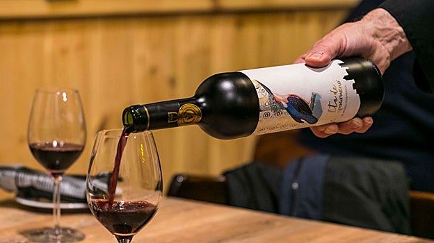 Cata de vinos de Campoameno