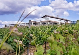 Cinco bodegas que puedes visitar en Málaga