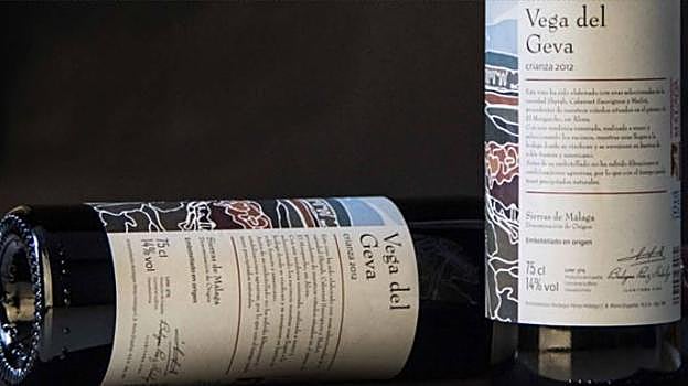 Cinco bodegas que puedes visitar en Málaga