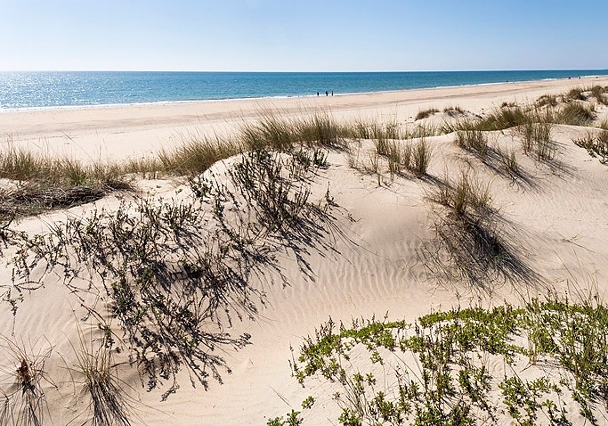 Playas de Lepe, Huelva