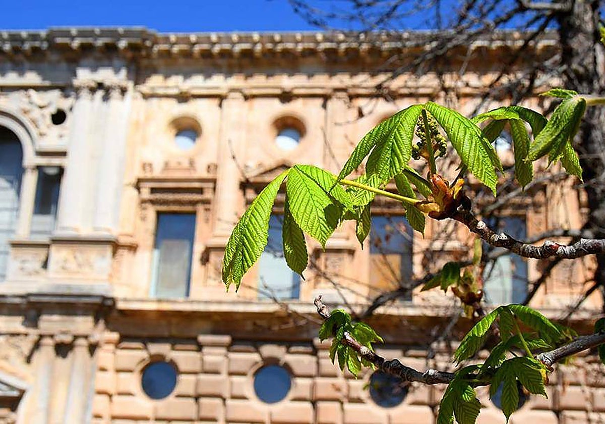 La Alhambra en Granada ya recibe los primeros brotes verdes de la primavera