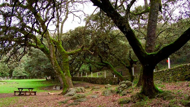 Imagen de la Ruta Arroyo del Descansadero