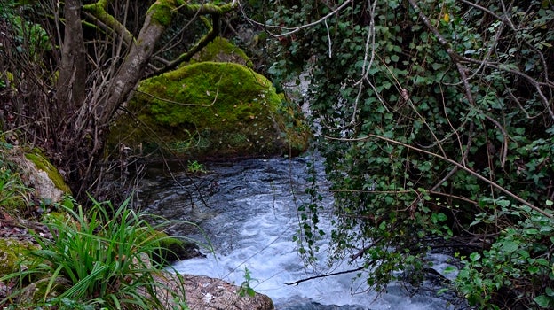 Imagen de la Ruta del Majaceite