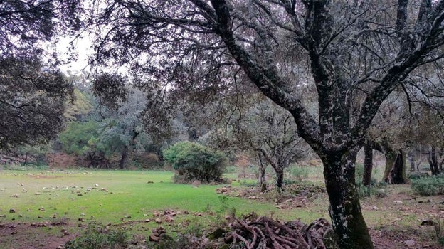 Imagen de la Ruta de los Llanos del Berral