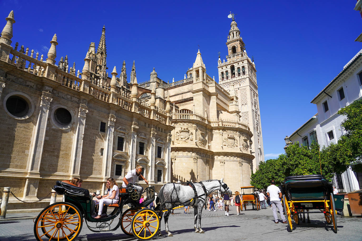 Catedral de Sevilla. Reseñas: 42.062. En 1987 la Unesco declaró como “Patrimonio de la Humanidad” el conjunto monumental formado por la Catedral, el Real Alcázar y el Archivo de Indias. Es la mayor catedral gótica del mundo y el tercer templo de la cristiandad, tras San Pedro en Roma y San Pablo en Londres.