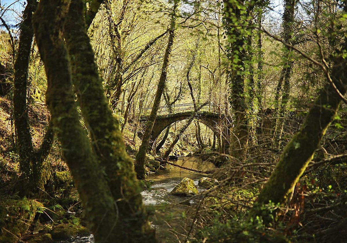 Parque Arqueológico de Campo Lameiro
