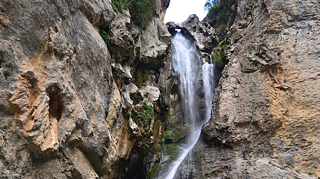 Salto de Los Órganos