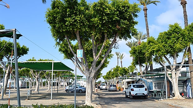 Zona de acampada del Camping Roquetas.