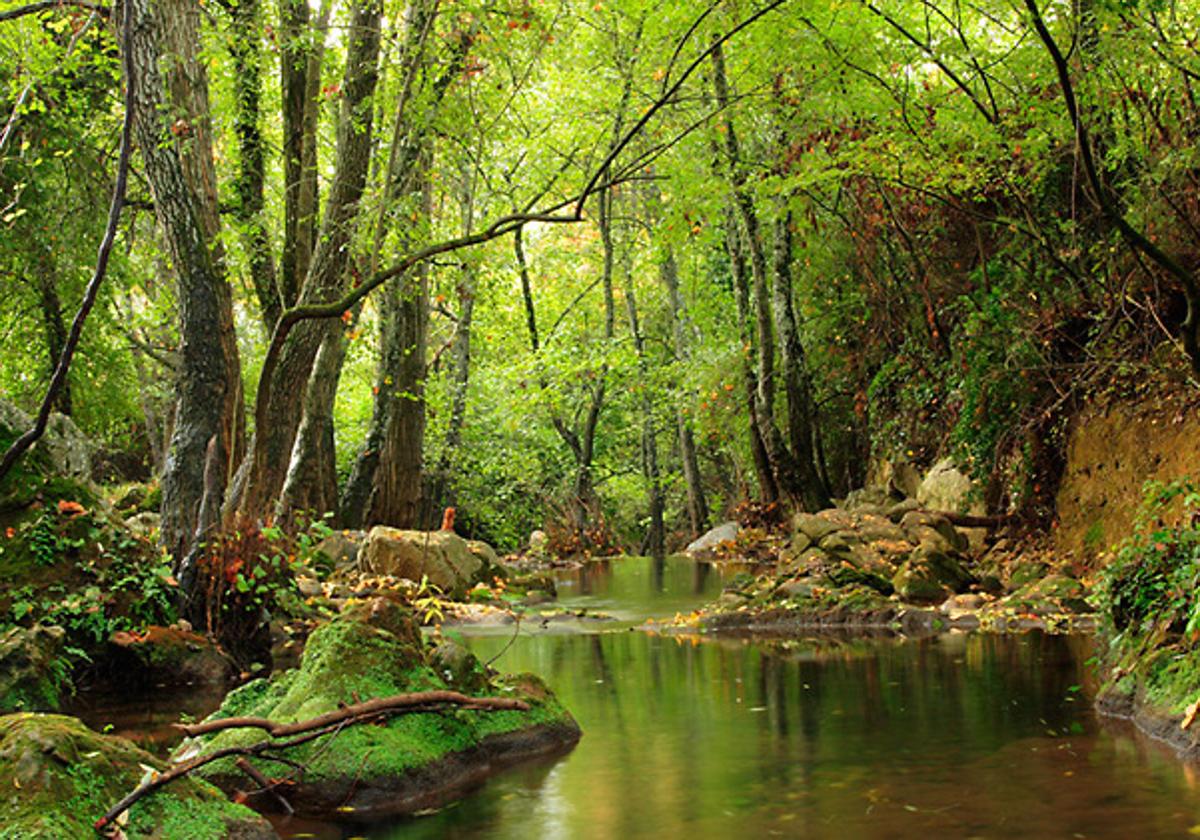 Imagen del Parque Natural de la Sierra Norte de Sevilla