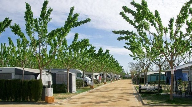 Zona de bungalows y caravanas del camping