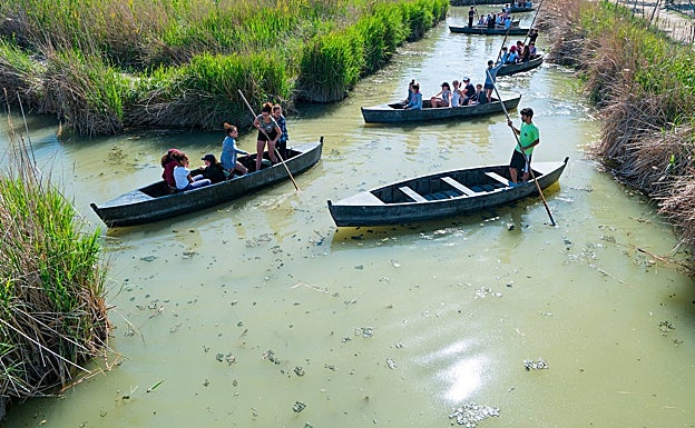 Un grupo de turistas perchando en barca de madera entre los canales