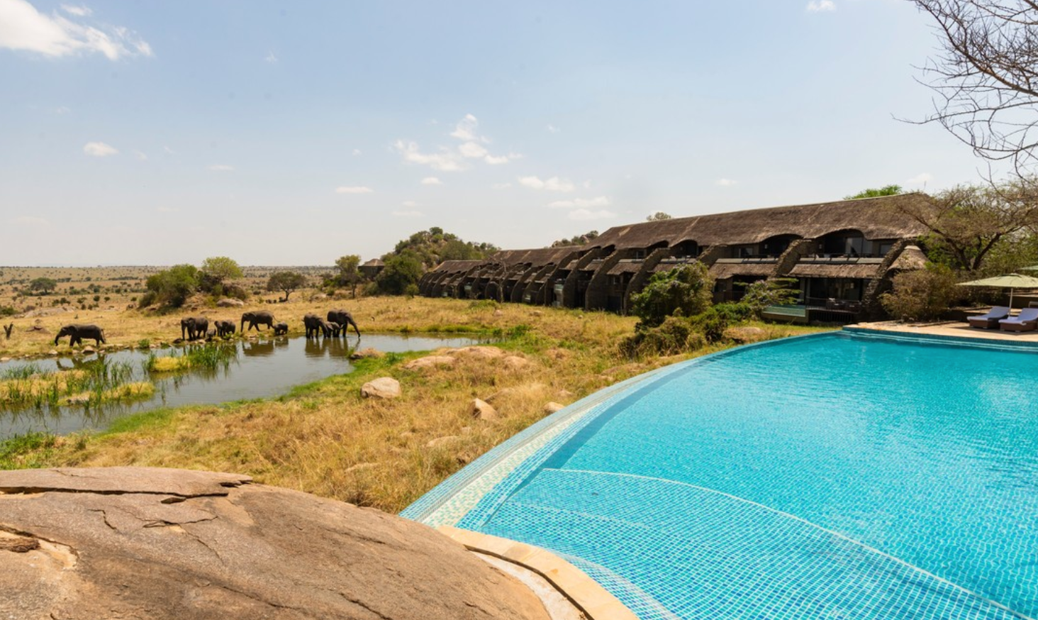 En medio de la sabana, en el corazón del Parque Nacional de Serengueti, espera al viajero que va en busca de admirar a los Cinco Grandes el Four Seasons Safari Ldoge Serengeti, un refugio de lujo de estética masai encaramado en una serie de plataformas elevadas y pasarelas que cuenta con un total de 60 habitaciones –todas ellas con balcón–, 12 suites con terraza y piscina privada y 5 villas con piscina infinita, que van de uno a tres dormitorios. Más allá de su renombrado spa, perfecto para relajarse tras una aventura y de sus exquisitos restaurantes en lo que degustar los sabores más auténticos de la cocina africana destaca su piscina infinita, un verdadero oasis de paz y tranquilidad cuyas vistas no dejan indiferente a nadie. Situada justo enfrente de un abrevadero de animales, los clientes que decidan darse un baño refrescante podrán ver, por ejemplo, a una familia de elefantes bebiendo agua, jugando o bañándose.