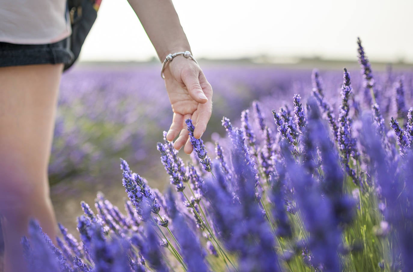Brihuega, en la Alcarria, era un pueblo de ganaderos y agricultores, con un pequeño toque industrial, por ser sede de la Real Fábrica de Paños , activa y en producción hasta después de la Guerra Civil española. Luego todo comenzó a decaer, y la gente, a emigrar.