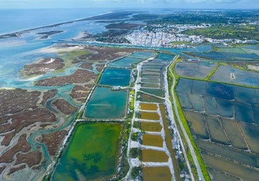 Una ría y una barrera de islas componen el paisaje menos conocido y más genuino del Algarve