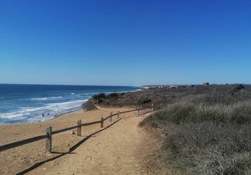 Cómo es la isla más grande del estado de Nueva York (un remanso de paz muy diferente a Manhattan)