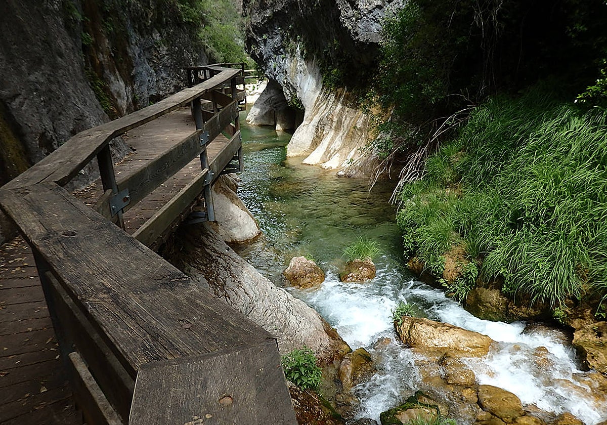 Cerrada de Elías en el río Borosa