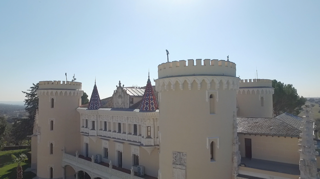 Detalles del castillo de Viñuelas